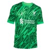 Maillot de Gardien Liverpool 2024-25 Verte Pour Homme